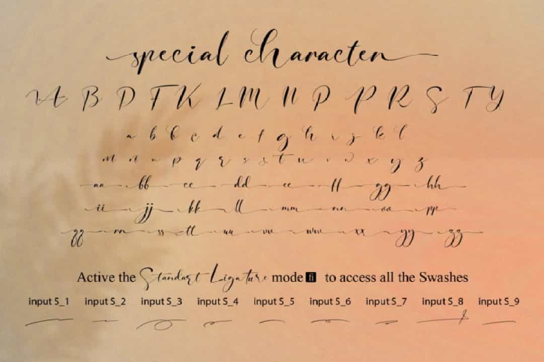 Signature Photopedia Font Image 4