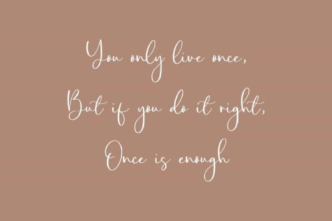 Amalia Salvatore Calligraphy Script Font Image 2