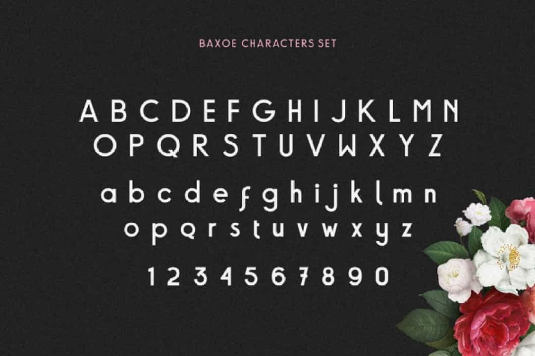 Baxoe Sans Fancy Typeface Image 3