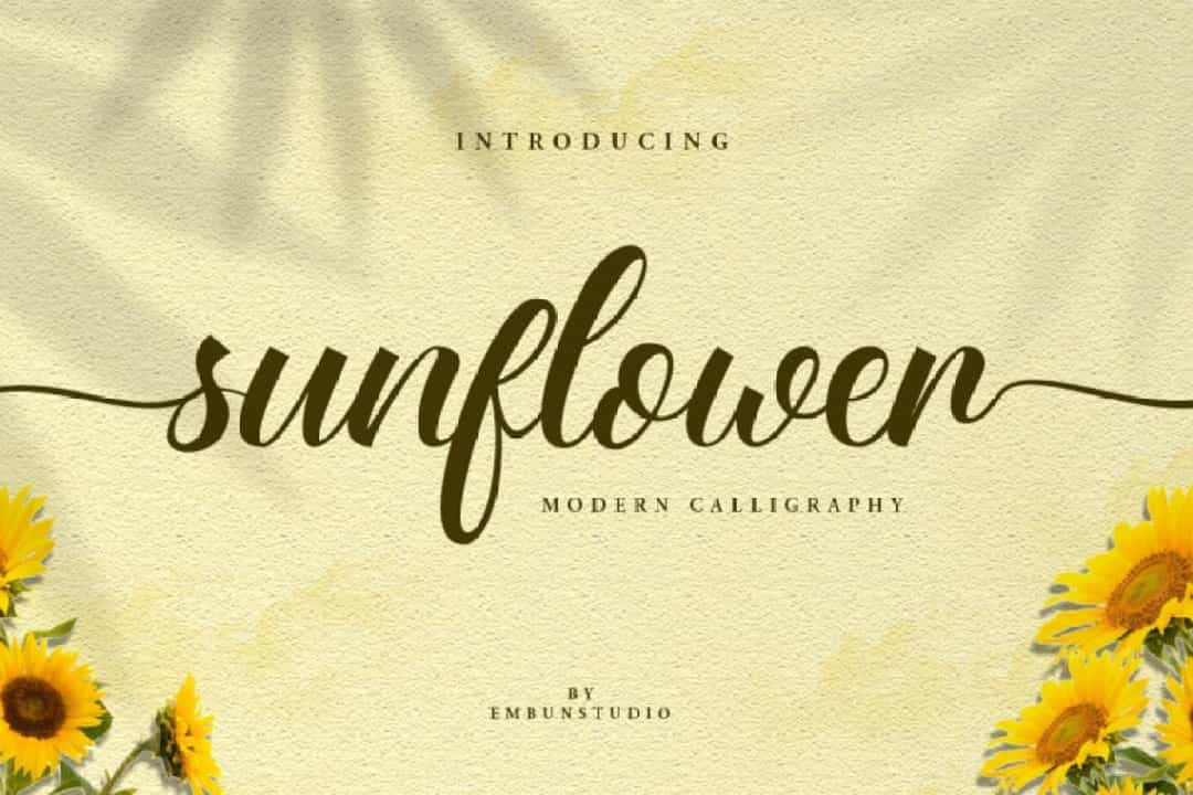 Sunflower Fields Font Image 1