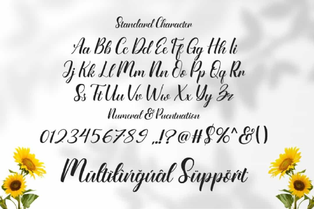 Sunflower Fields Font Image 3
