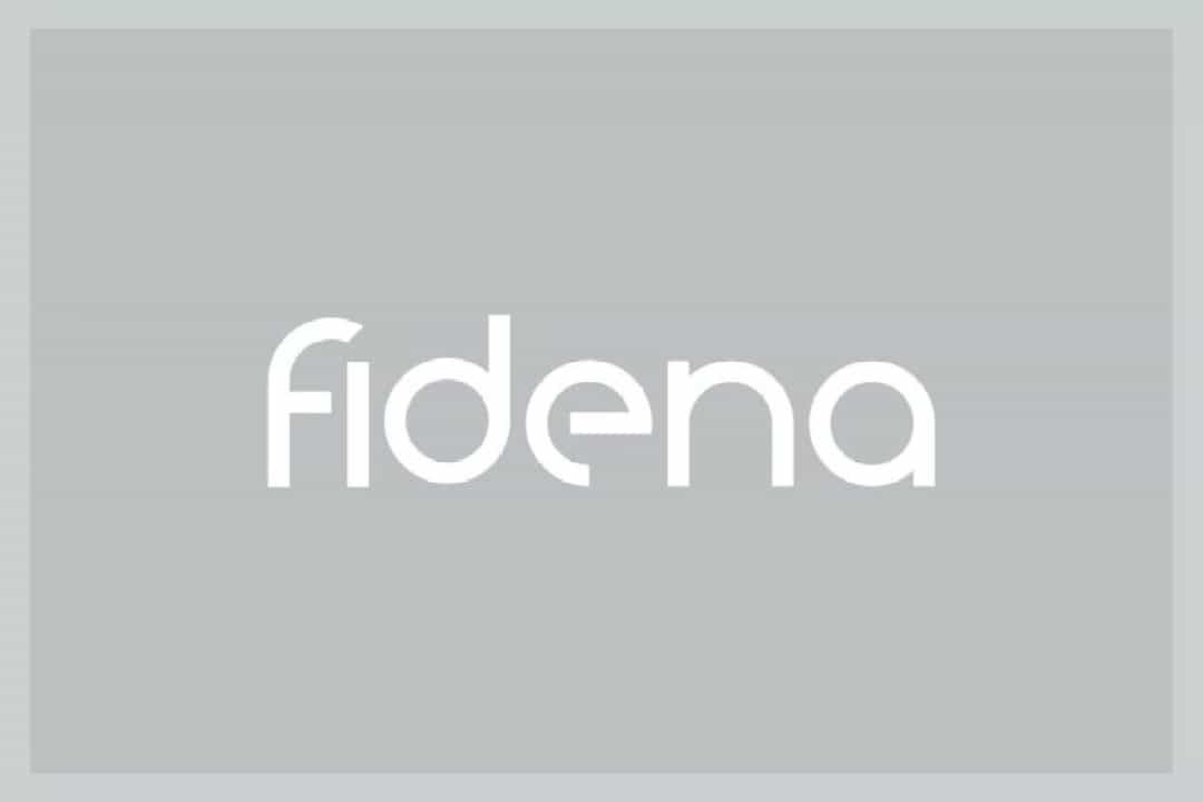 Fidena Sans Serif Font Image 1