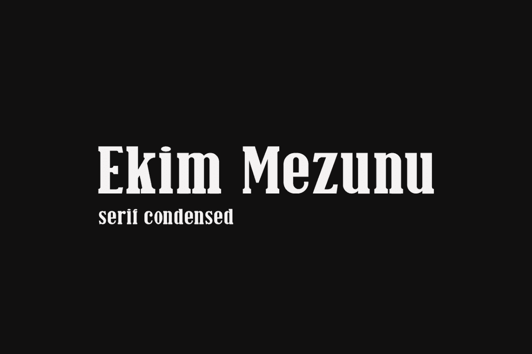 Ekim Mezunu Serif Font Image 1