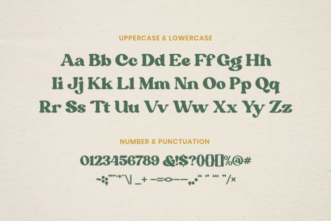 Bargie Serif Font Image 2