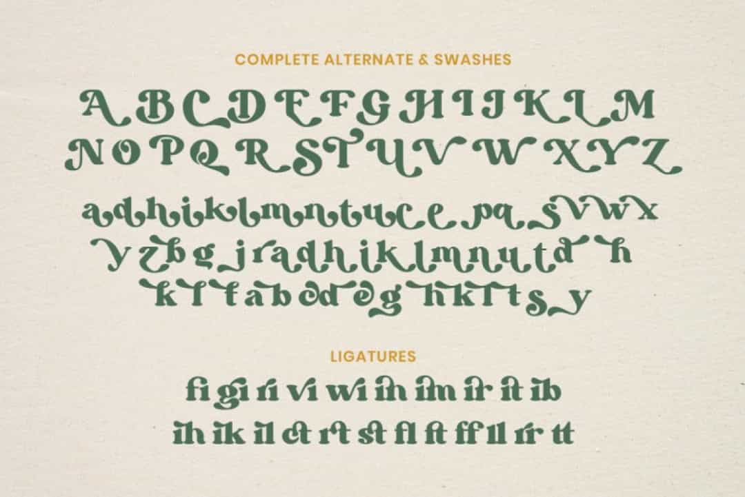 Bargie Serif Font Image 3