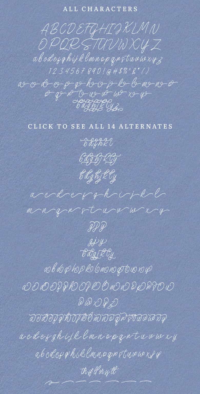 Birdspring Handwritten Signature Font Image 3