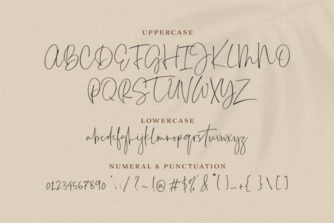 Everleigh Handwritten Signature Script Font Image 3