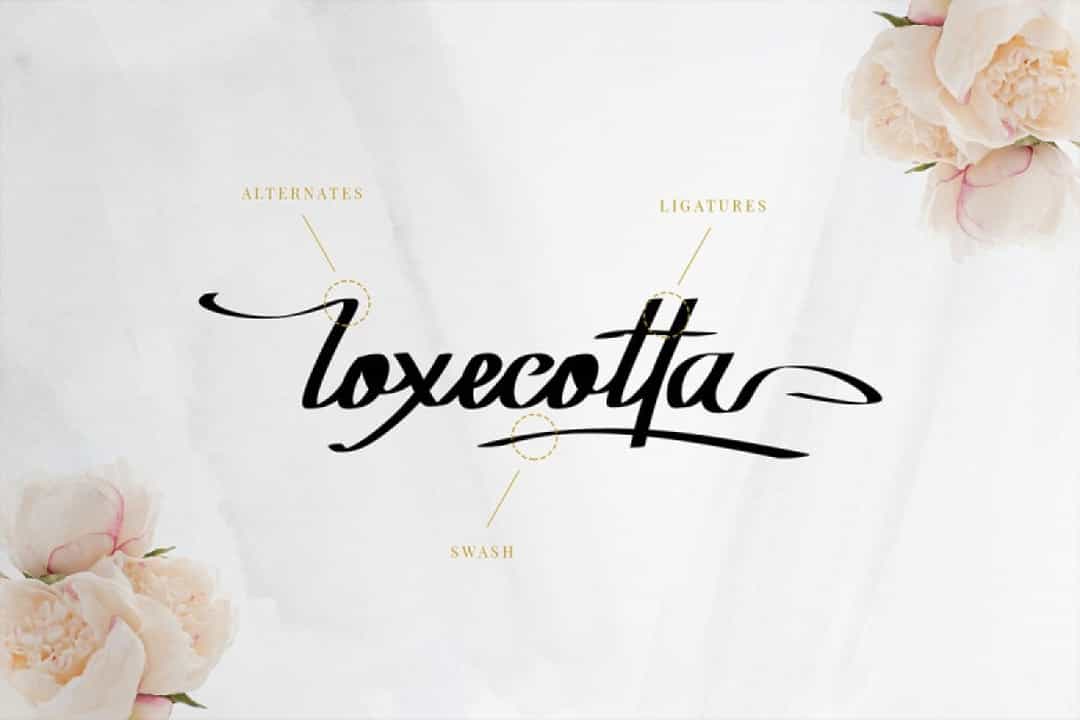 Rockyoletta Calligraphy Script Font Image 3