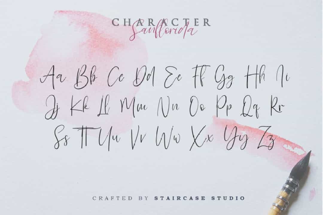 Sanflorida Handwritten Script Font Image 3