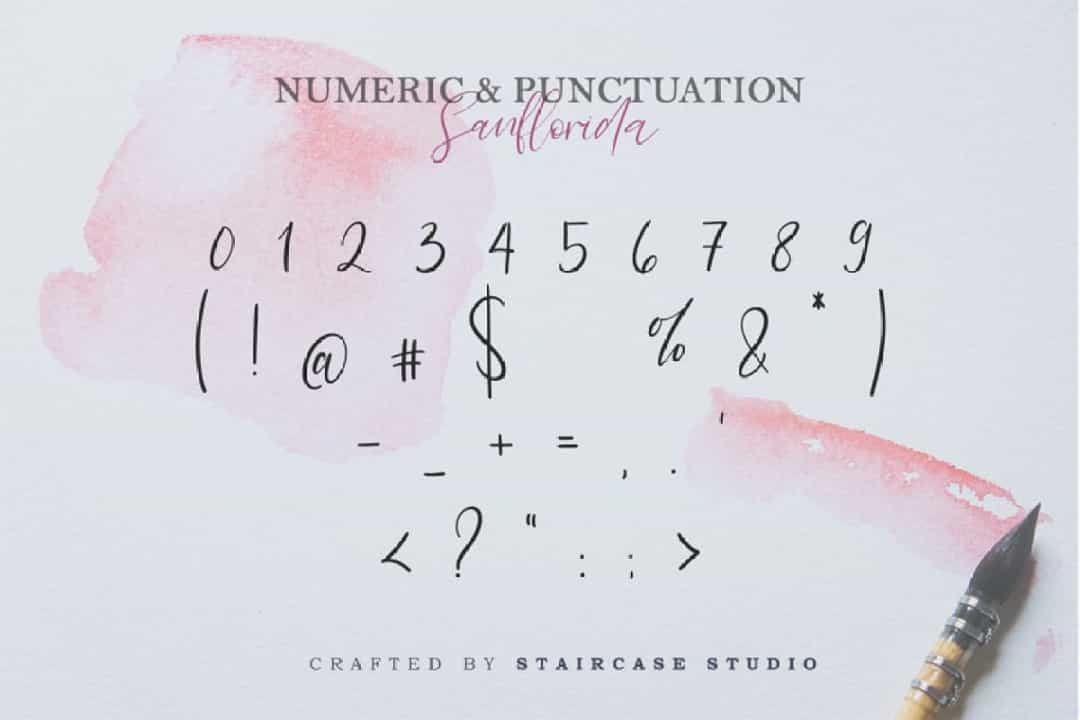 Sanflorida Handwritten Script Font Image 4