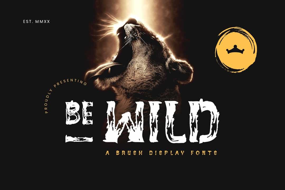 BE-WILD Font Image 1