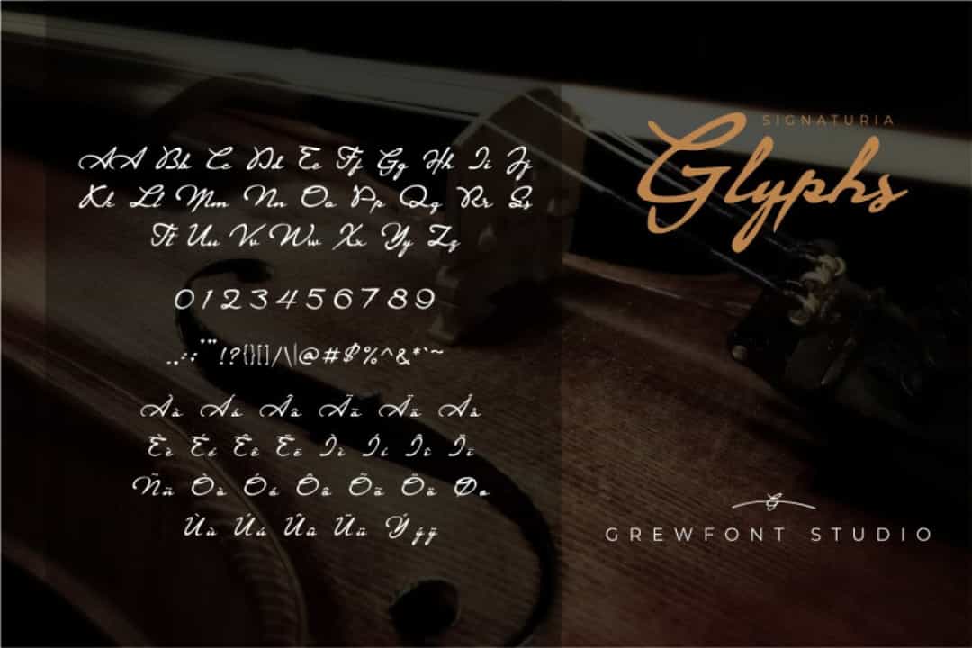 Signaturia Font Image 3