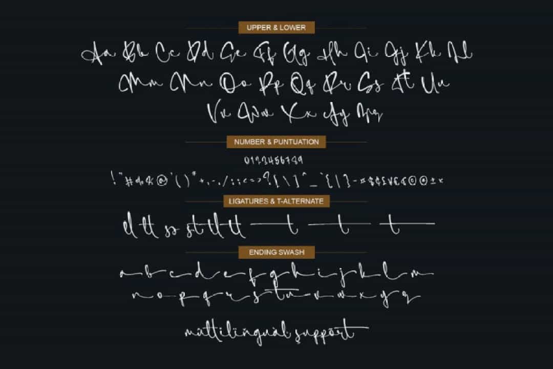 SimfonySign Signature Script Typeface Image 4
