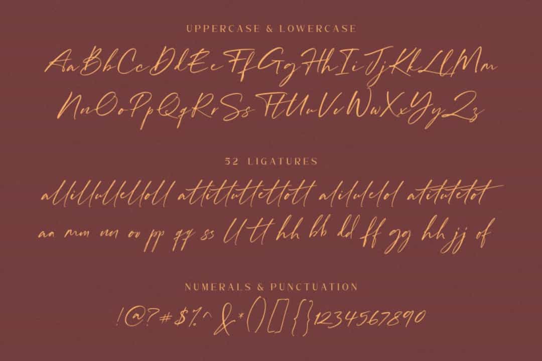 William Costinavel Handwritten Script Font Image 4