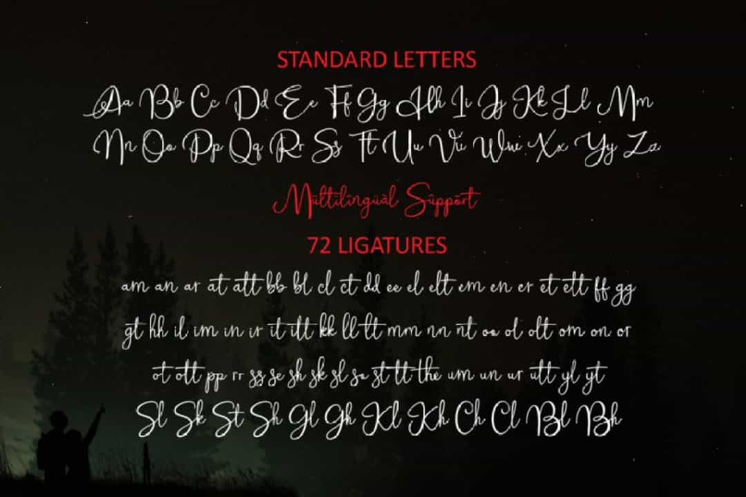 Alleysha Handwritten Script Font Image 4