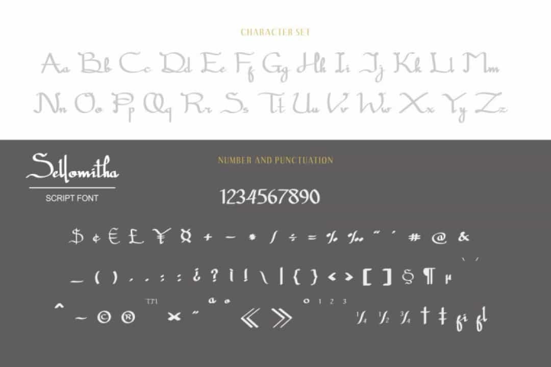 Sellomitha Handwritten Script Font Image 3