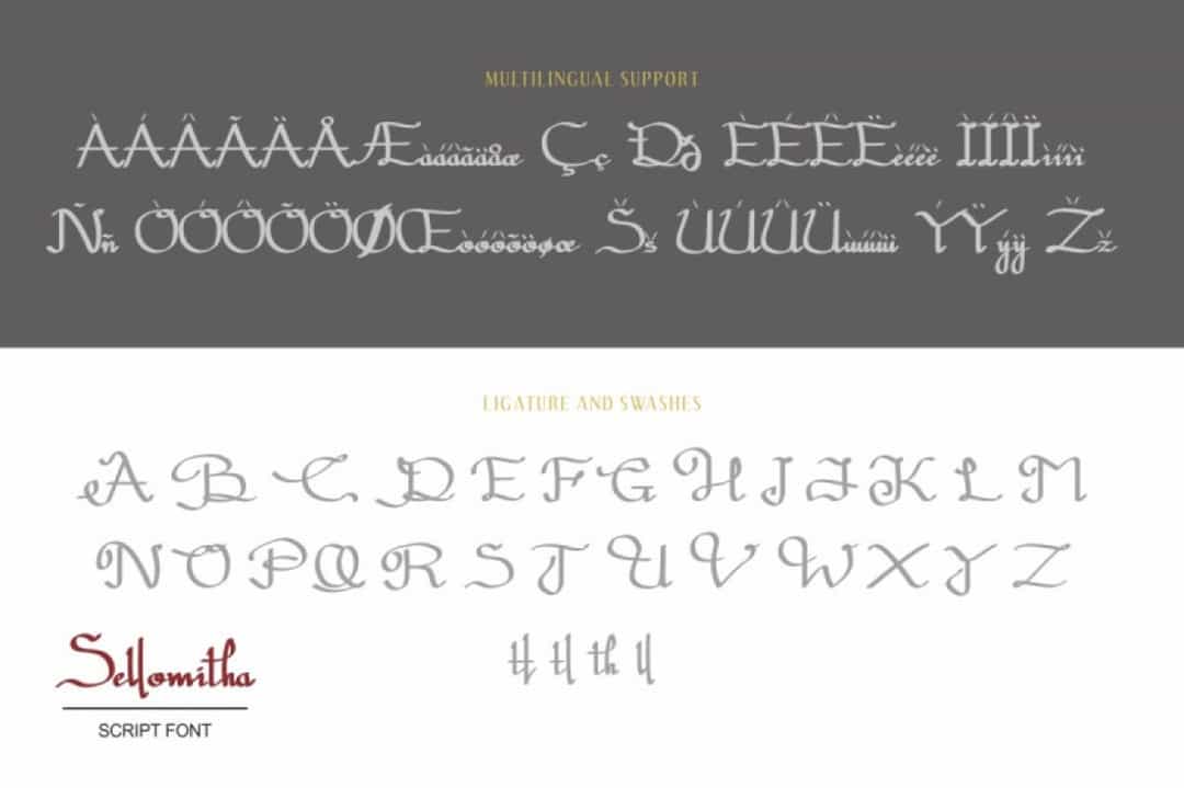 Sellomitha Handwritten Script Font Image 4