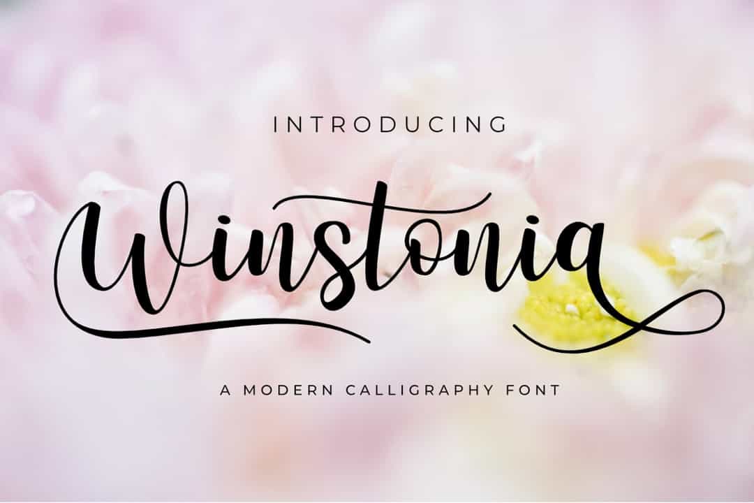 Winstonia Modern Calligraphy Font Image 1