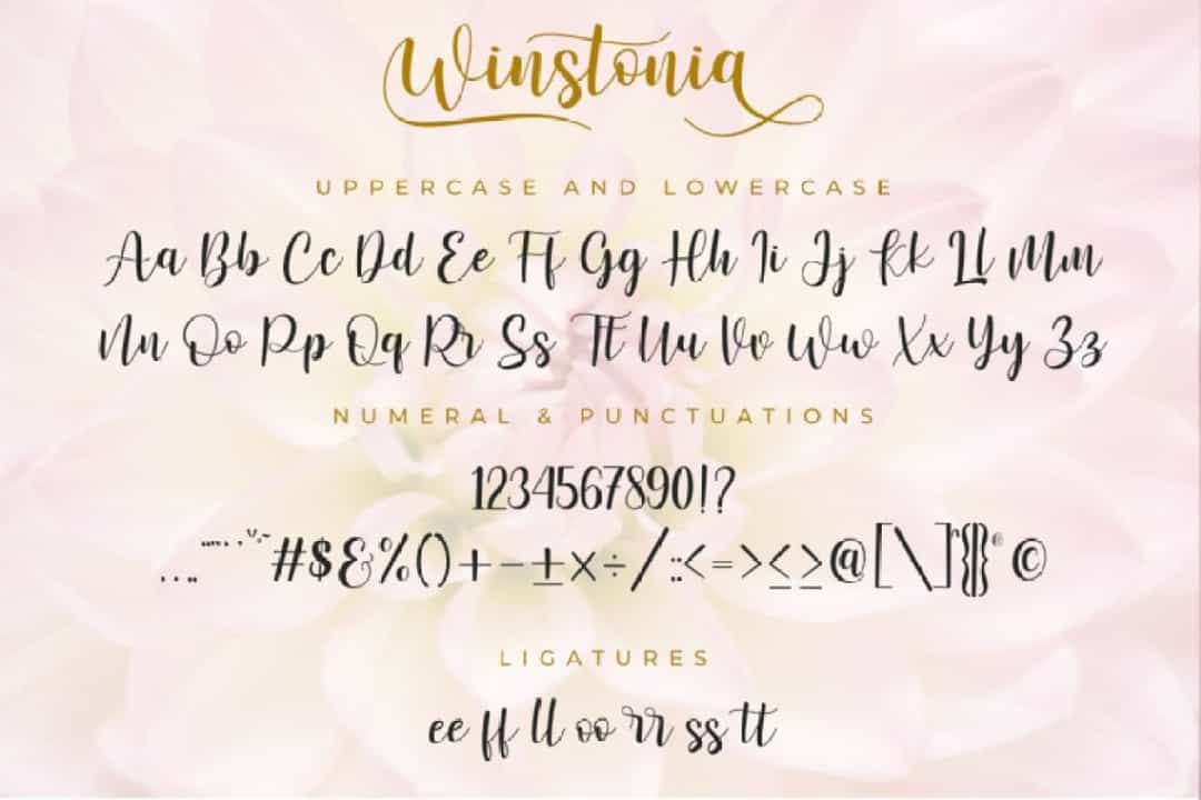 Winstonia Modern Calligraphy Font Image 3