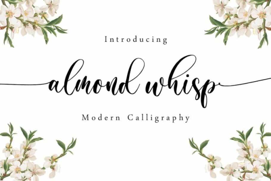 Almond Whisp Modern Calligraphy Font Image 1