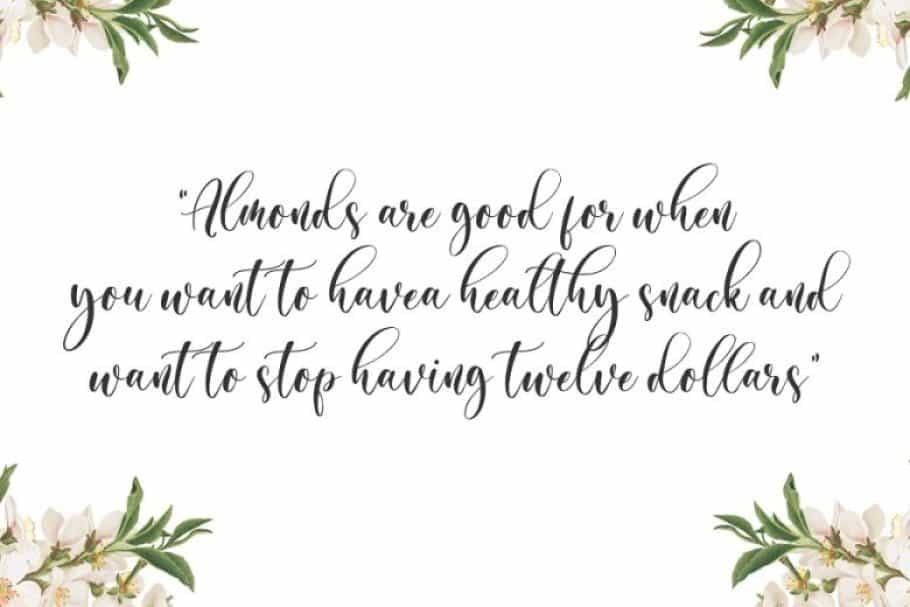 Almond Whisp Modern Calligraphy Font Image 2
