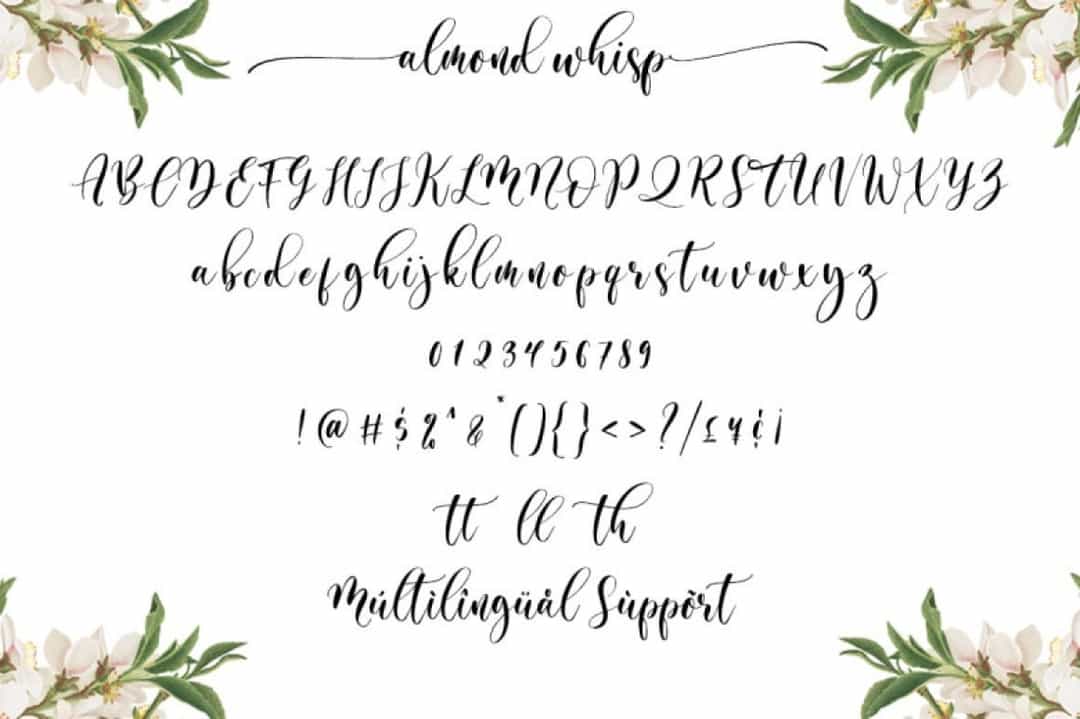 Almond Whisp Modern Calligraphy Font Image 4