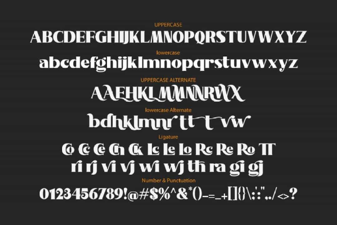 Nakone Luxury Serif Font Image 4