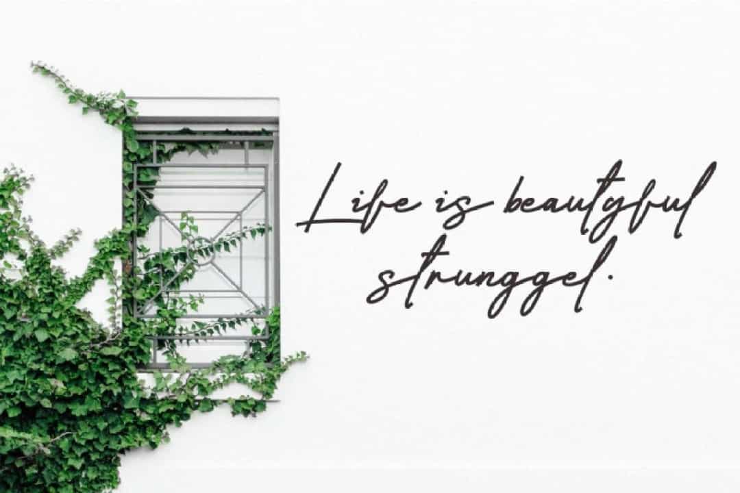 Casablanca Monoline Signature Script Font Image 3