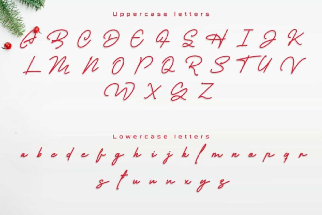 Casablanca Monoline Signature Script Font Image 4