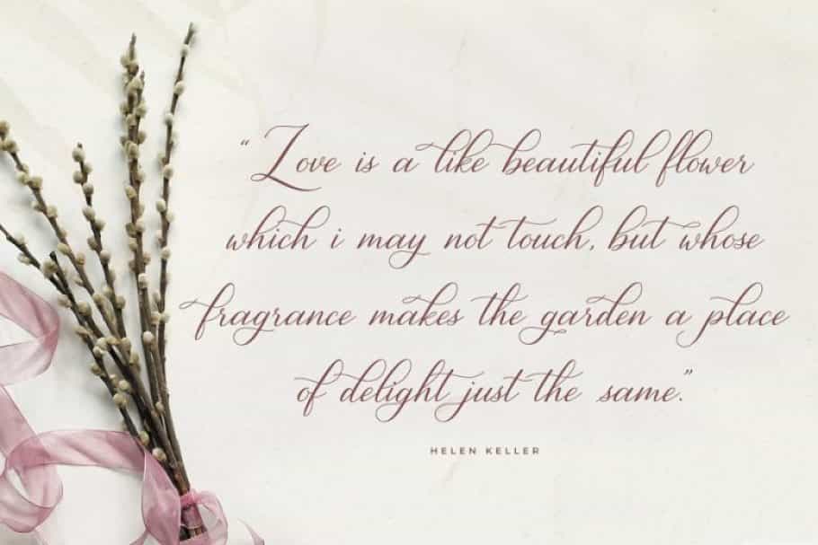 Kingsley Luxury Calligraphy Font Image 2