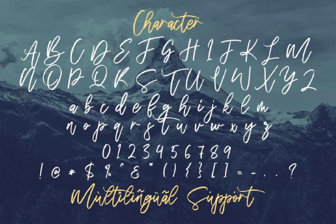 Walytime Handwritten Script Font Image 4