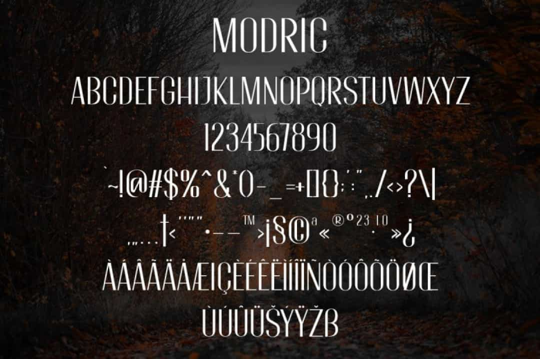 Modric Typeface Image 3