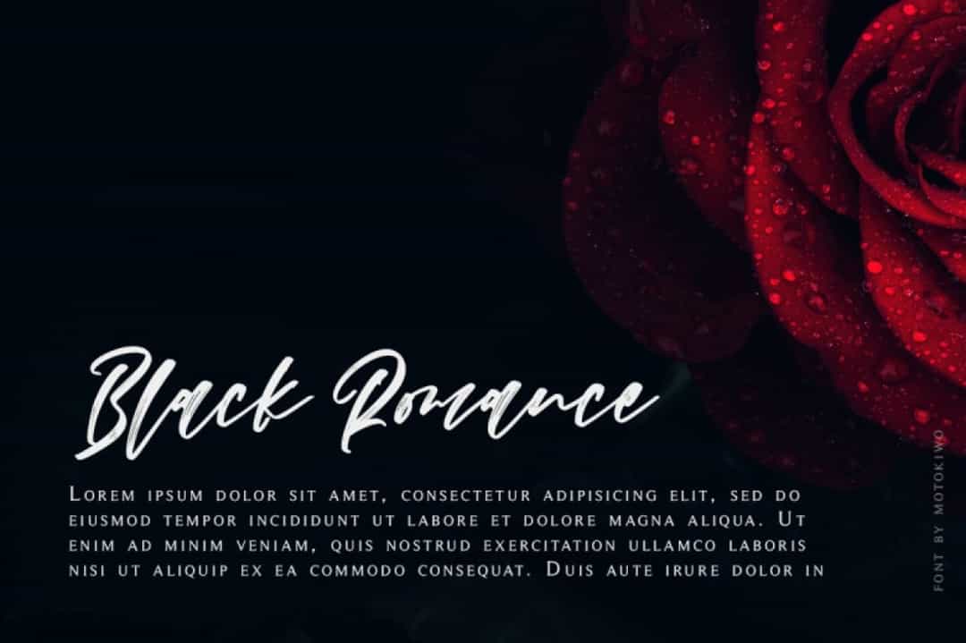 Nighiri Handbrush Script Font Image 2