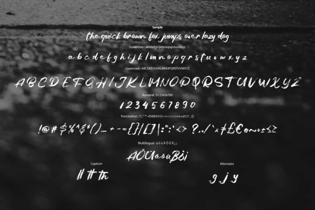 Balges Brush Script Font Image 3