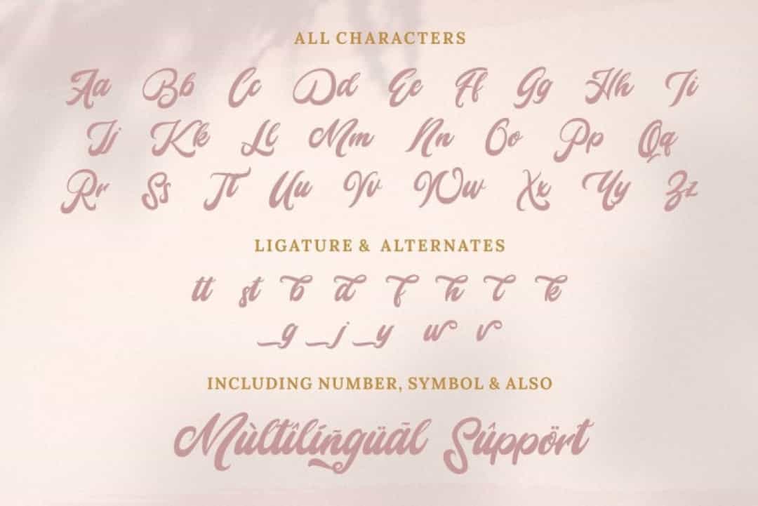 Mady Risaw Modern Script Font Image 3
