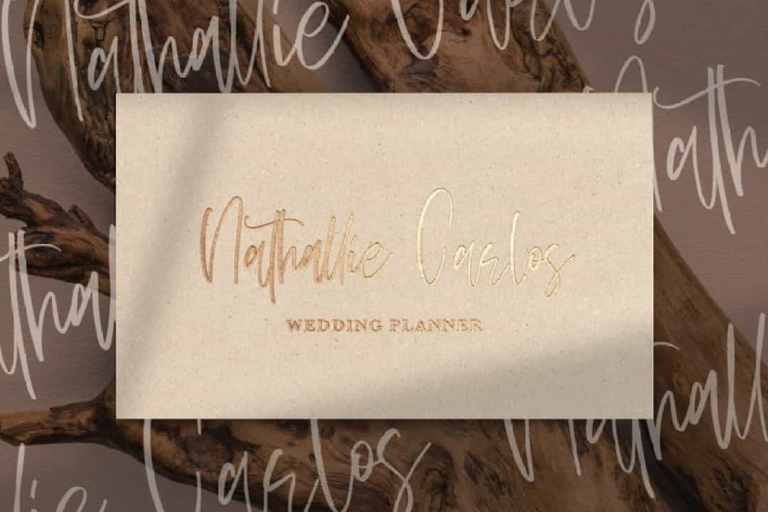 Sellviny Queen Handwritten Script Font Image 2