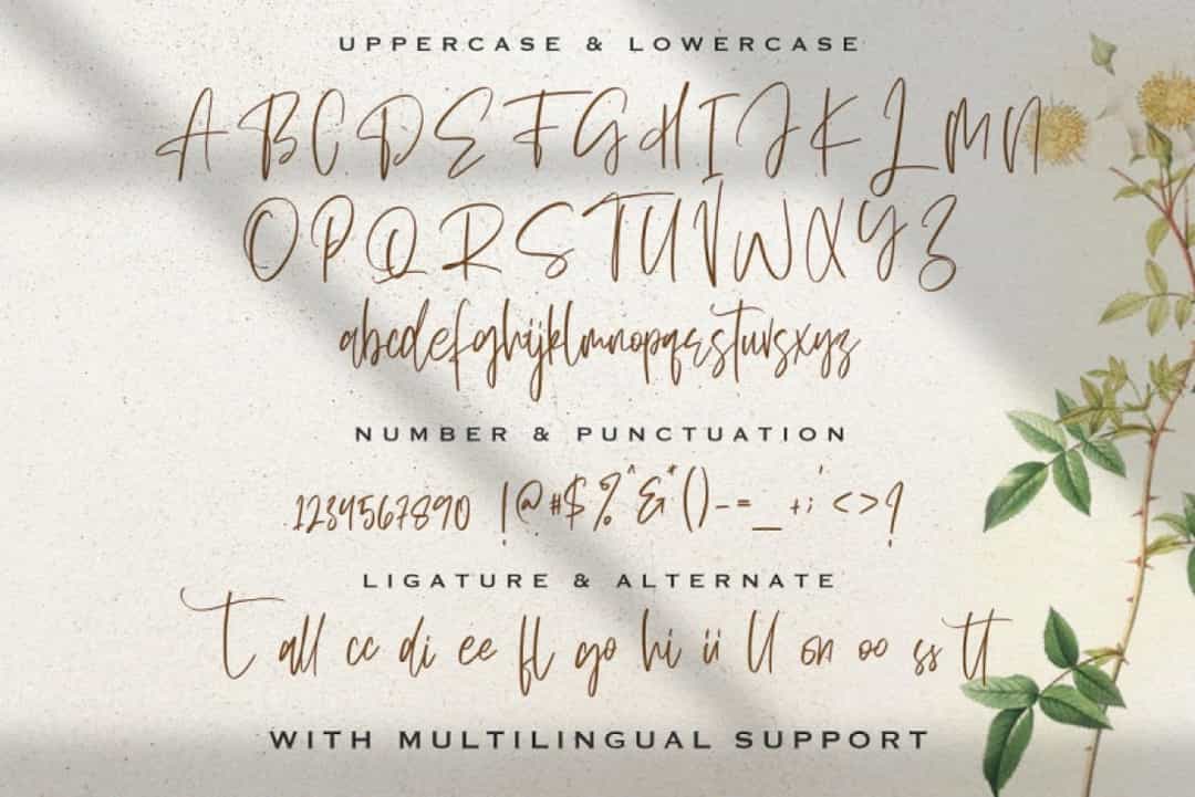 Sellviny Queen Handwritten Script Font Image 3