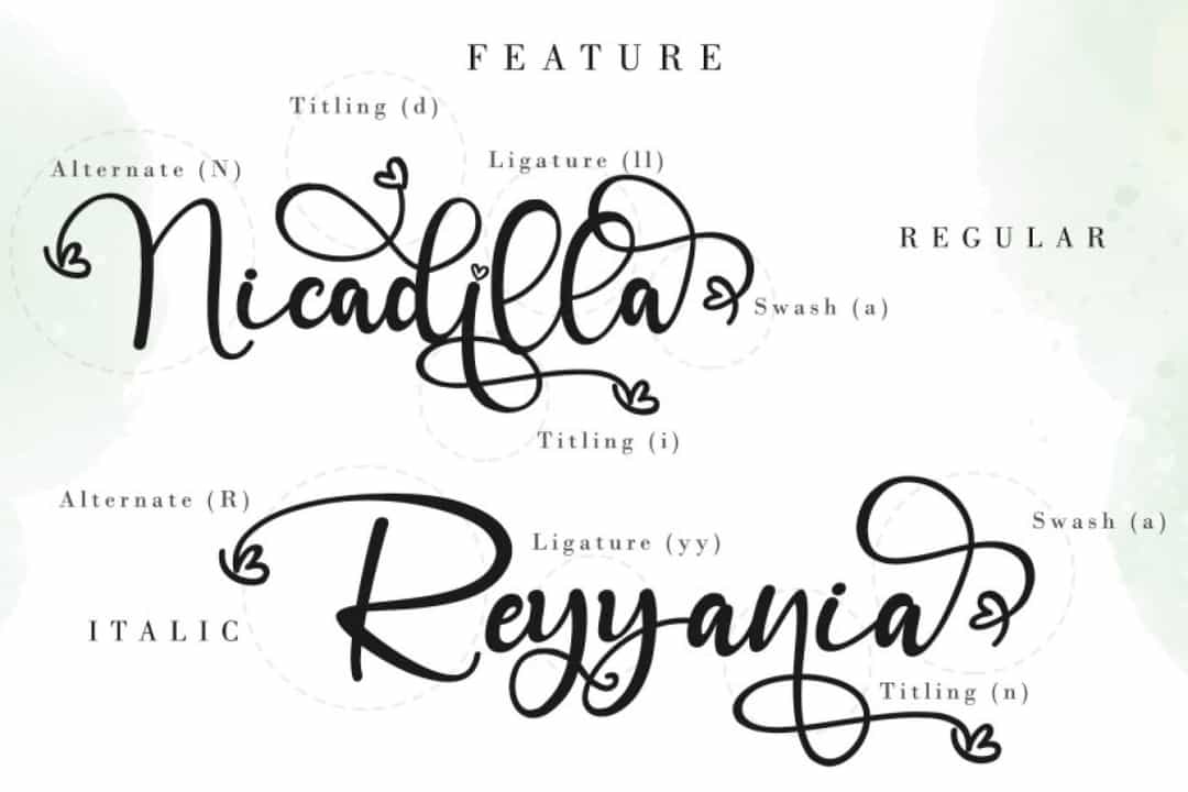 Angelynn Modern Calligraphy Script Font Image 3