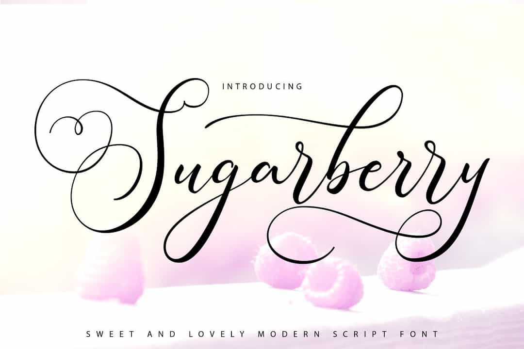 Sugarberry Calligraphy Script Font Image 1
