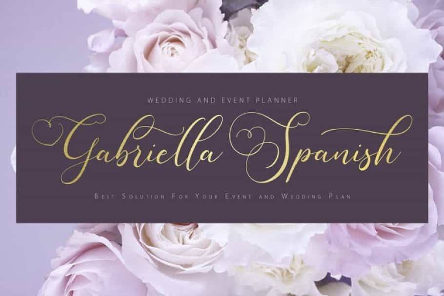 Sugarberry Calligraphy Script Font Image 2