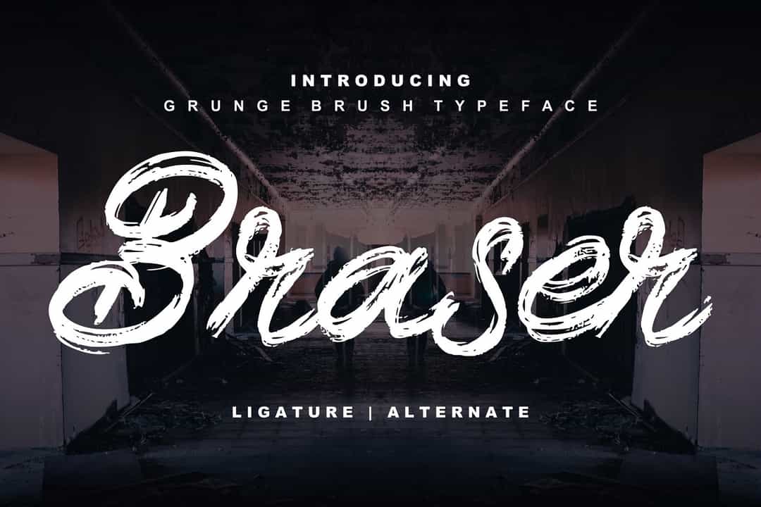 Braser Brush Script Font Image 1