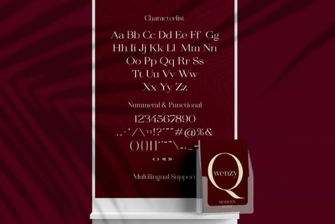 Qwenzy Elegant Serif Font Image 4