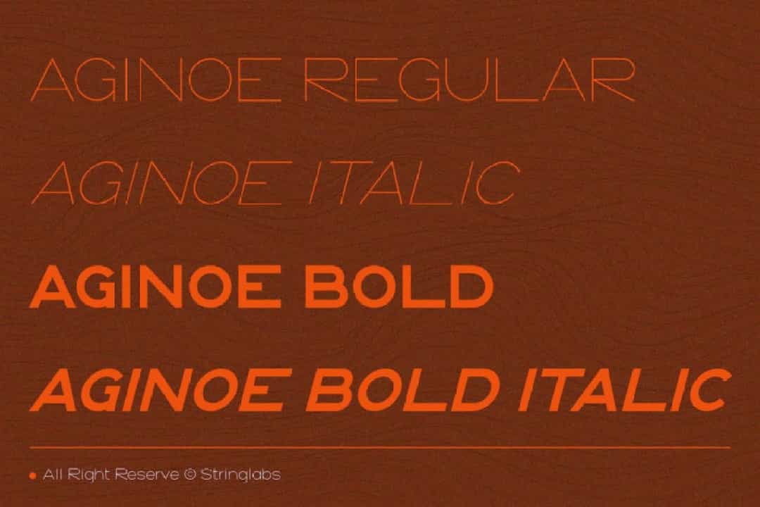 Aginoe Modern Sans Font Family Image 2
