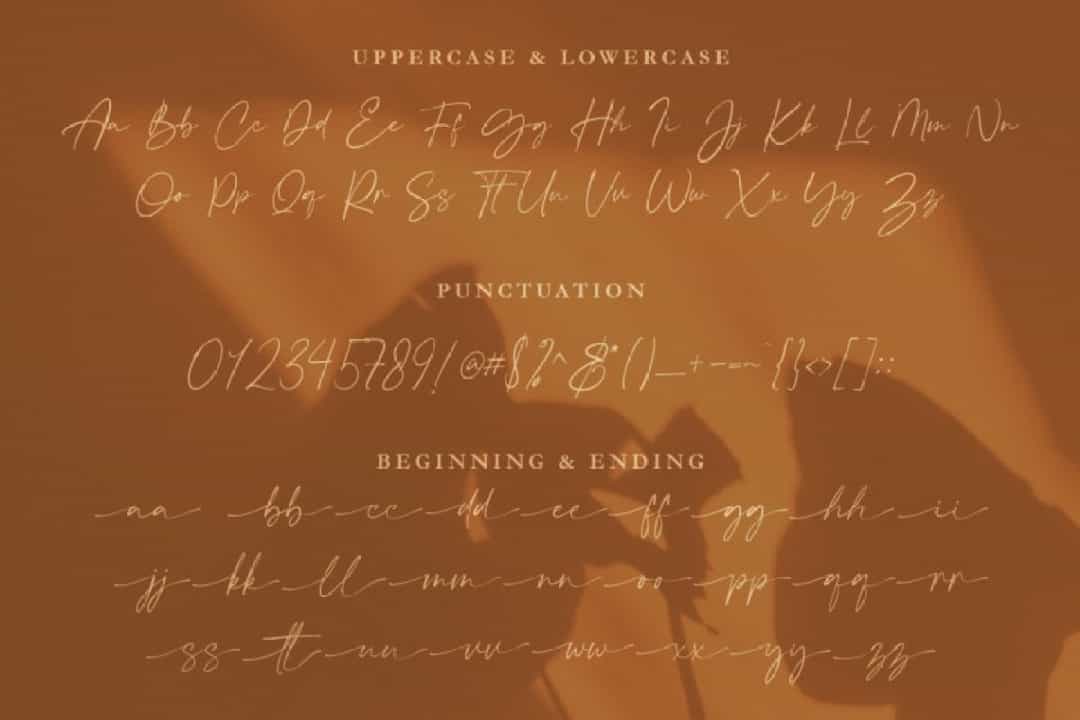 Crimson Foam Handwritten Script Font Image 3