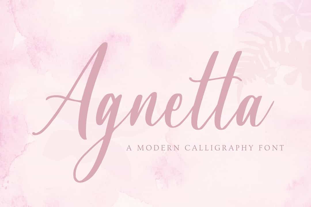 Agnetta Calligraphy Script Font Image 1