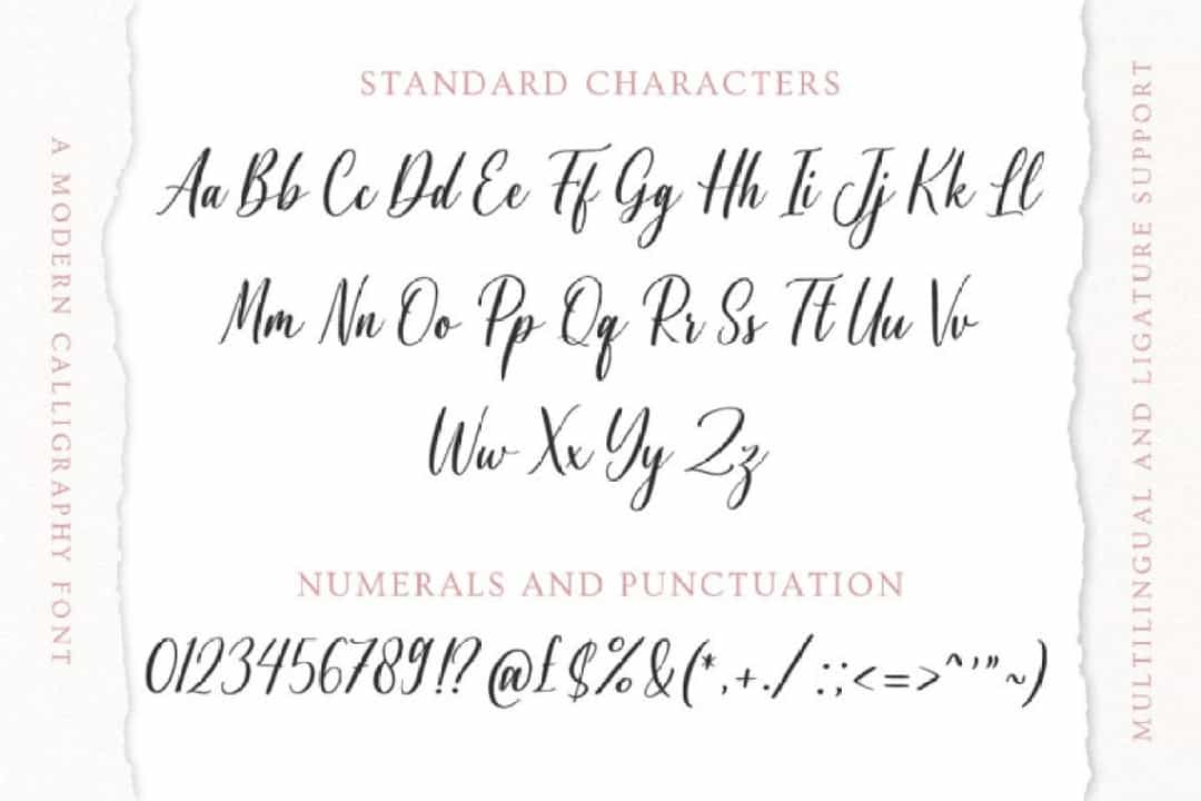 Agnetta Calligraphy Script Font Image 4