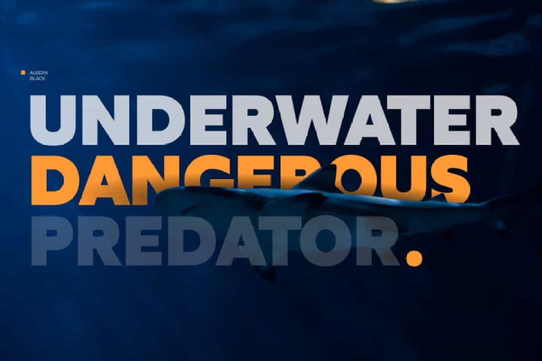 Algera Spurless Sans Serif Font Image 2
