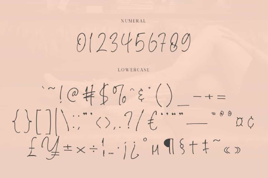 Brendria Handwritten Signature Font Image 3