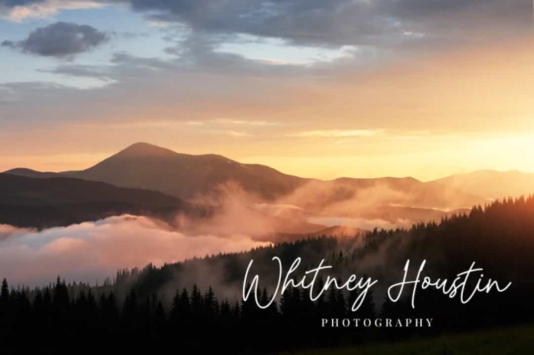 Whitney Melody Stylish Signature Font Image 2