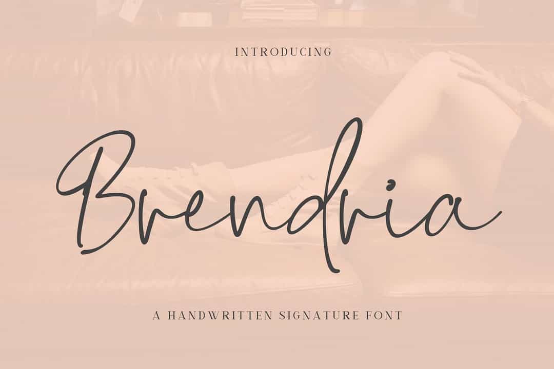 Brendria Handwritten Signature Font Image 4